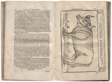 Rerum Moscoviticarum [...] LM-14