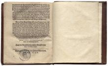 Warhaffte, gründtliche und eigendtliche Beschreibung [...] LM-36