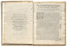 Decisiones Petri Royzii Maurei Alcagnicen [...]  LM-46