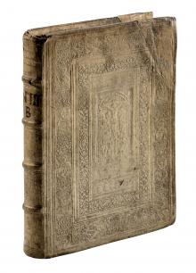 Chronica Sive Historiae Polonicae Compendiosa [...]  LM-45
