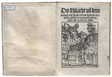 Die Schlacht võ dem Kunig von Poln LM-55