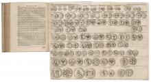 Chronicon Prussiae [...] LM-92