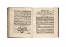 Politia ecclesiastica […] LM-132