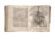 Adnotationes historicae de originae, antiquitate […] LM-136
