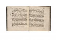 Victor et victus Vincentius Corvinus Gosiewski […] LM-130
