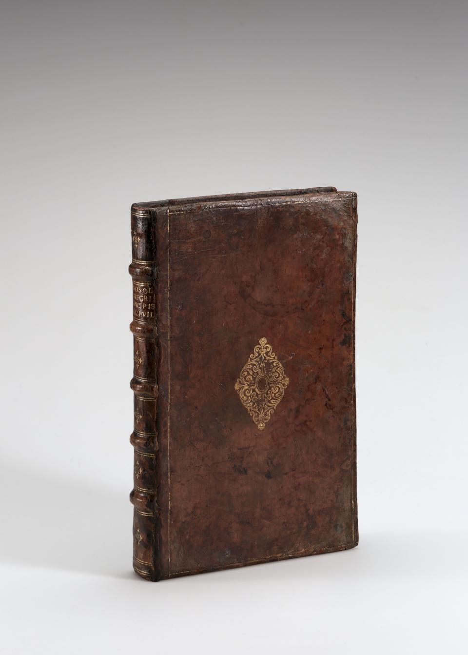 Ierosolymitana Peregrinatio Illvstrissimi Principis Nicolai Christophori Radzivili [...] LM-146