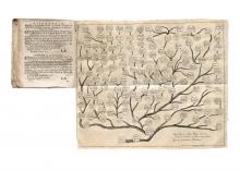 Historia Illustrissimae Domus Sapiehanae [...] LM-135