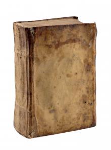 Annuae Litterae Societatis Iesu anni MDXCVI LM-41