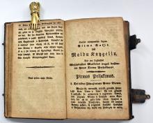 Rojaus Darżelis pilnas Krikszczoniszkų Wieżlibystczų (prof. Domo Kauno dovana) LM-273