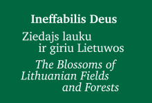 Paroda "Ineffabilis Deus", 2026 sausio 28 d. – kovo 28 d.