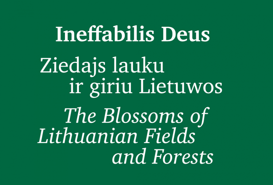 Paroda "Ineffabilis Deus", 2026 sausio 28 d. – kovo 28 d.